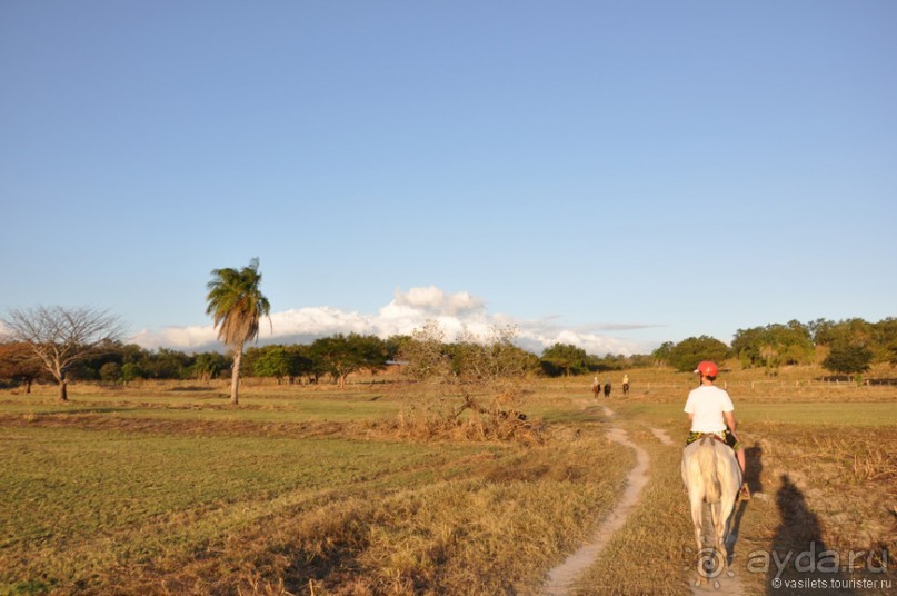 Альбом отзыва "Многоликая Коста-Рика"