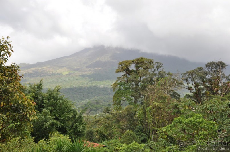 Альбом отзыва "Многоликая Коста-Рика"