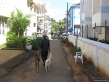 Гоа — это не Индия. Пляжи