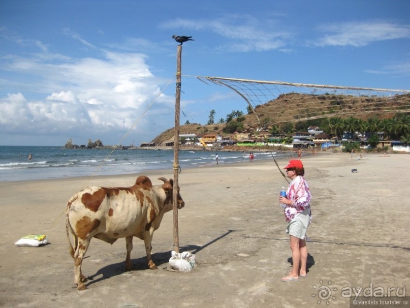 Гоа — это не Индия. Пляжи