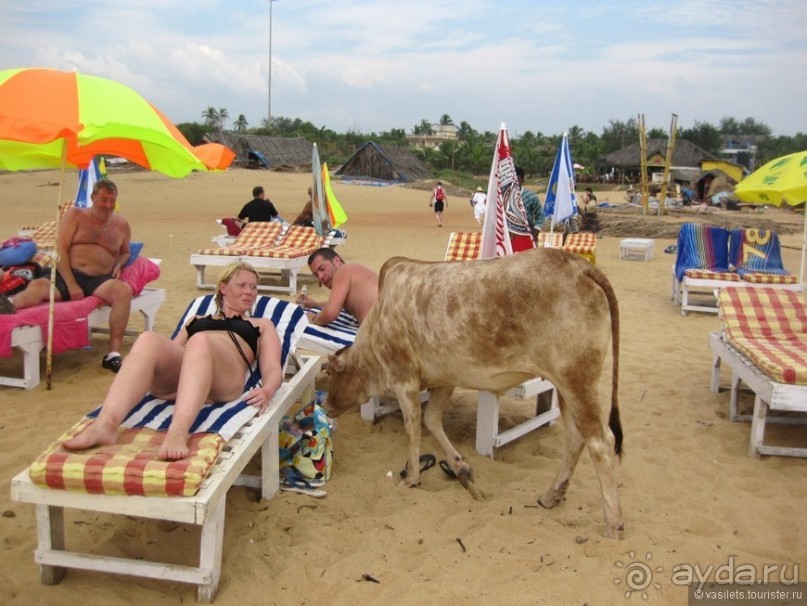 Гоа — это не Индия. Пляжи