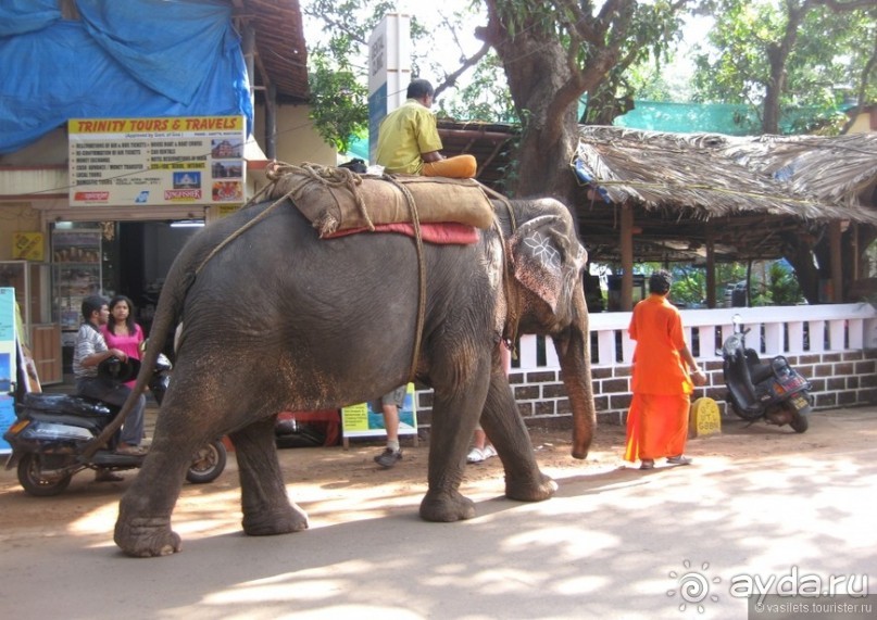 Гоа — это не Индия. Пляжи