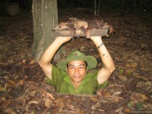 Хайван ведет в Хойан