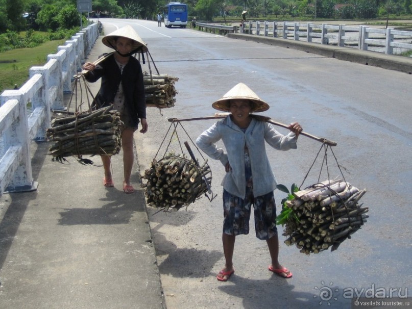 Хайван ведет в Хойан