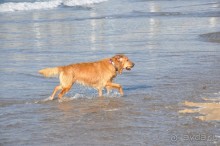 Скучная Гаага и сказочный Делфт