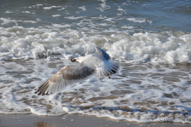 Скучная Гаага и сказочный Делфт
