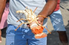 ГОА уже не тот