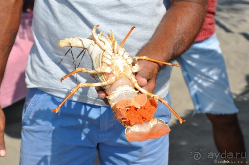 ГОА уже не тот