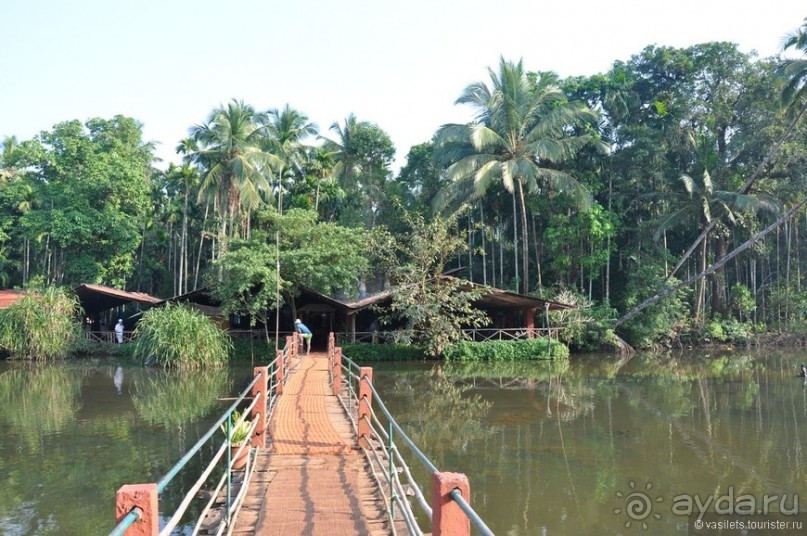 ГОА уже не тот