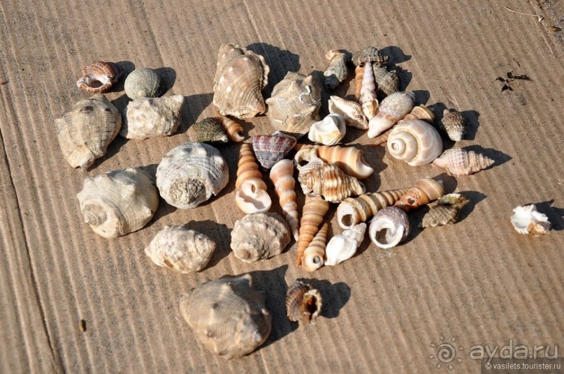 ГОА уже не тот