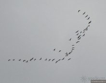 Зачарованные волжские берега