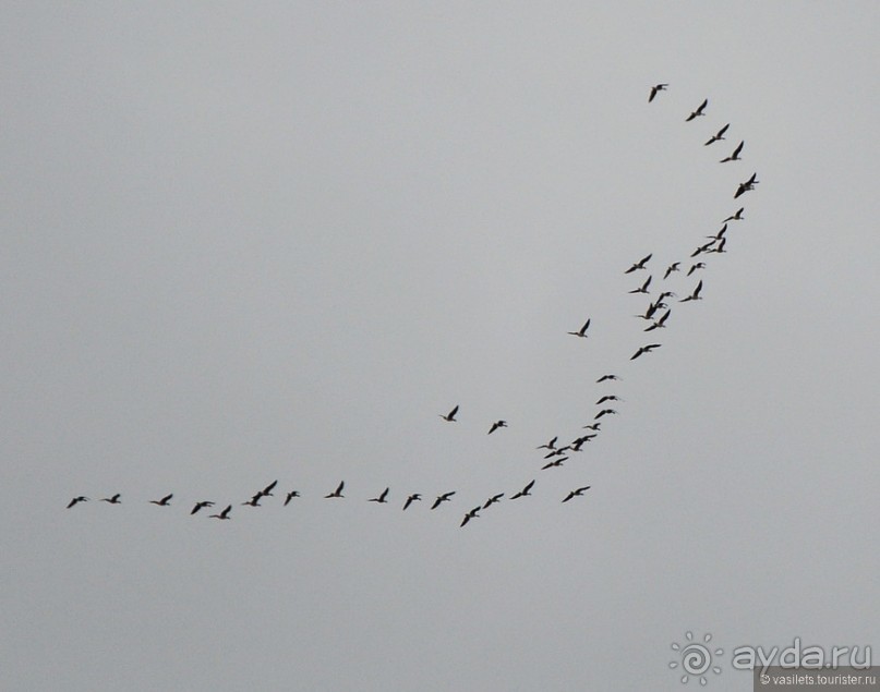 Зачарованные волжские берега