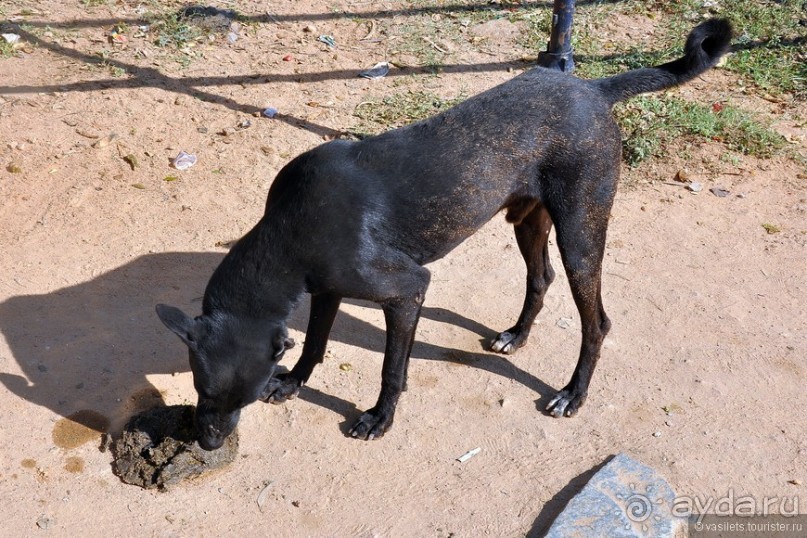 Индия, Хампи. По страницам Рамаяны