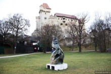 Венский лес без сказок