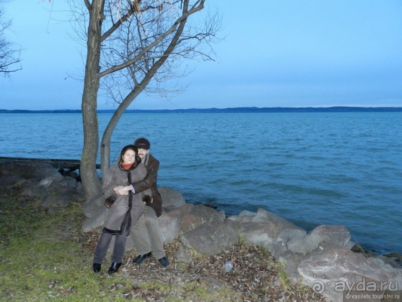 Альбом отзыва "Венский лес без сказок"