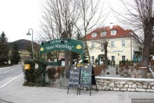 Альбом отзыва "Венский лес без сказок"