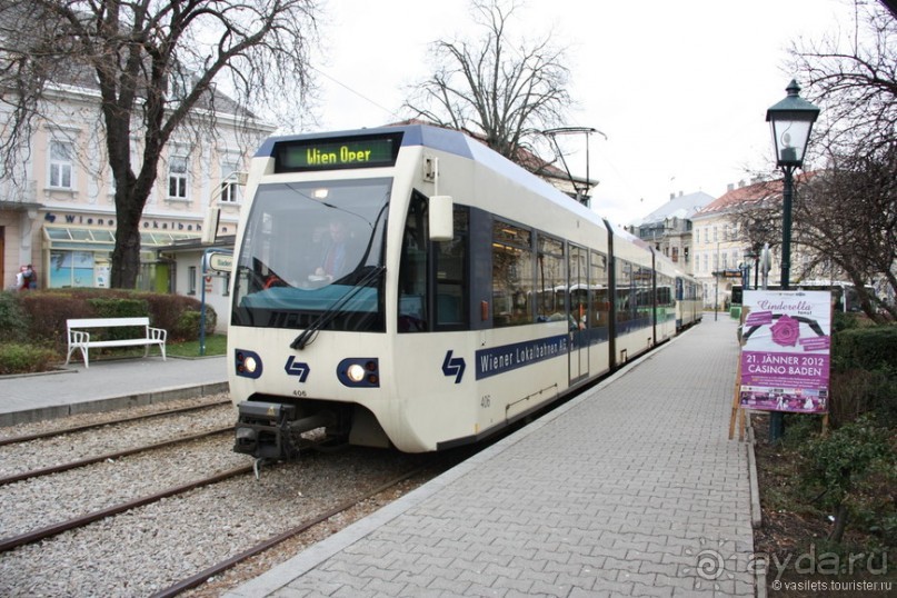 Венский лес без сказок