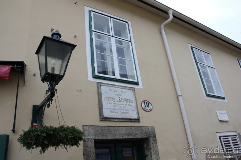 Венский лес без сказок