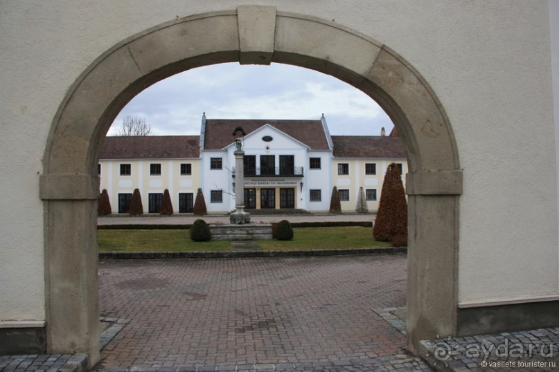 Венский лес без сказок