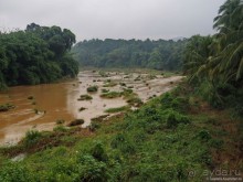 Что у ланкийца под саронгом?