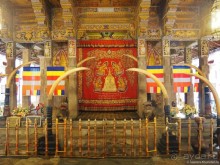 Что у ланкийца под саронгом?