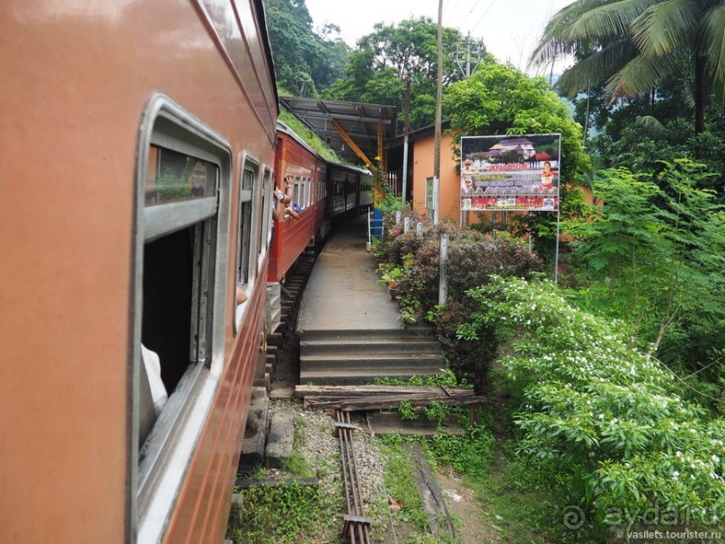 Что у ланкийца под саронгом?