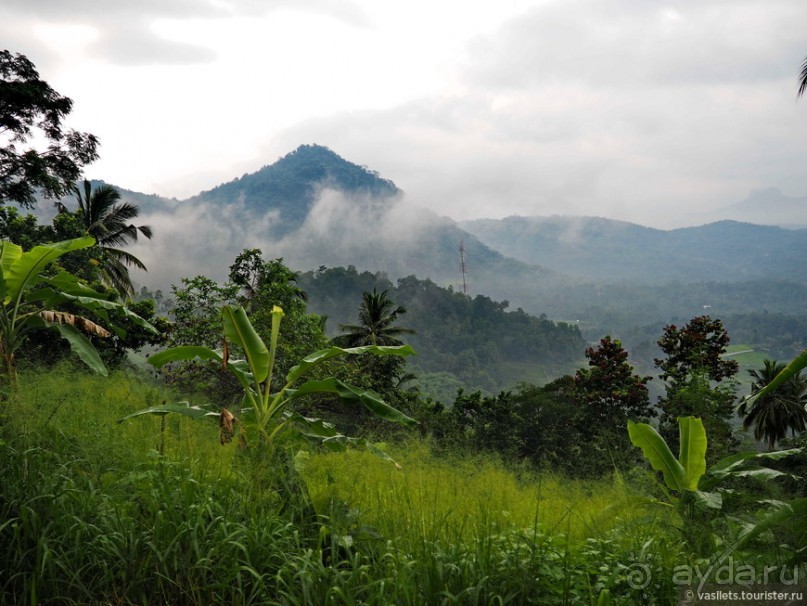 Что у ланкийца под саронгом?