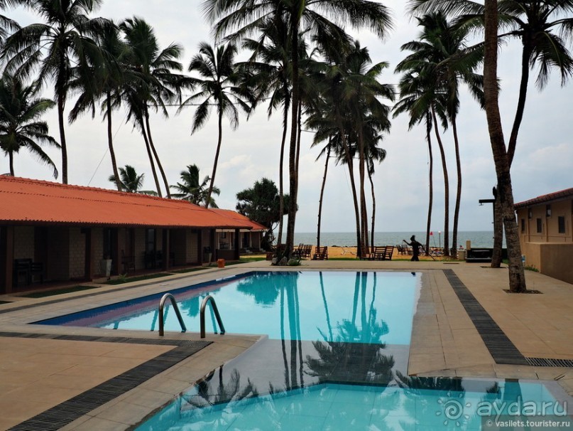 Что у ланкийца под саронгом?