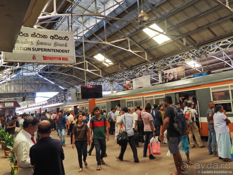 Что у ланкийца под саронгом?