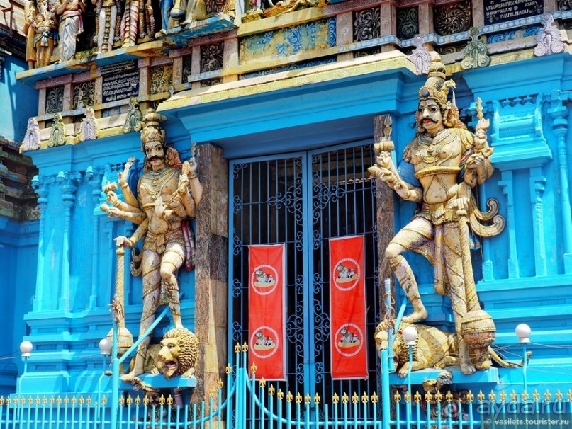 Что у ланкийца под саронгом?