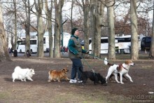 Предновогодний день. Будапешт