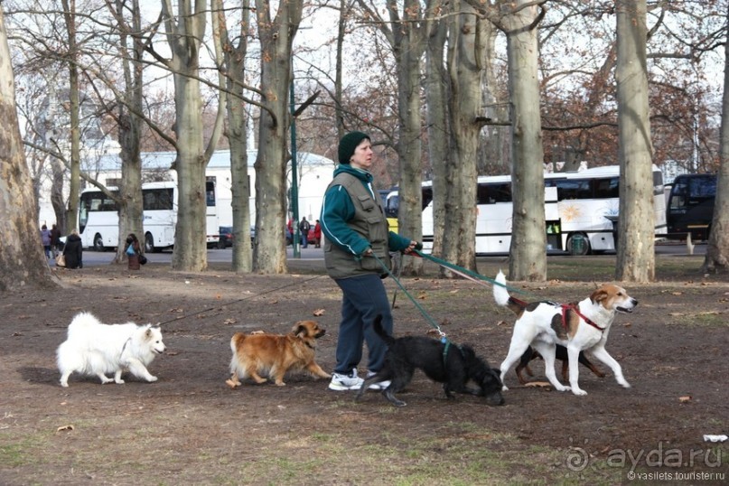 Предновогодний день. Будапешт