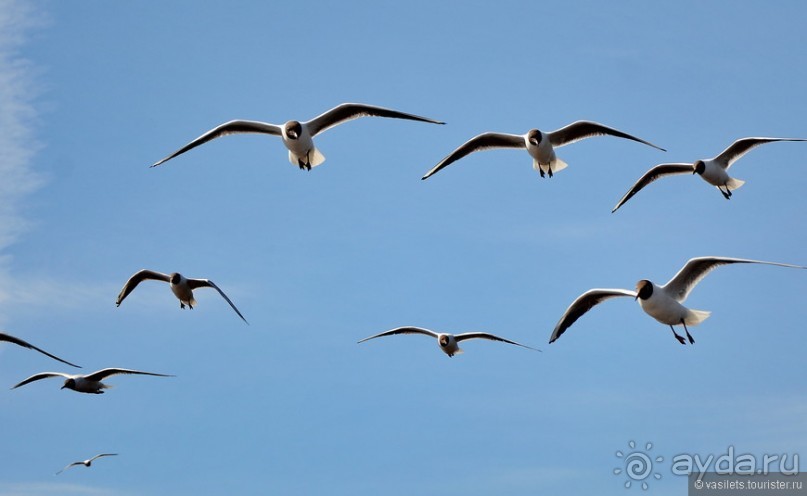 Город НН — 75 мгновений весны
