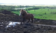 Нью-Чернеево, незамеченное путешествие