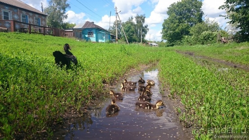 Нью-Чернеево, незамеченное путешествие