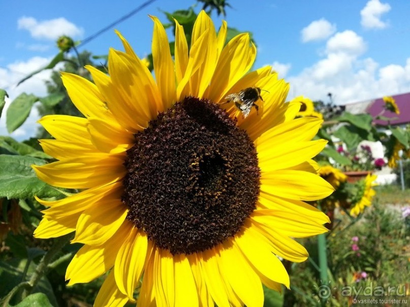 Нью-Чернеево, незамеченное путешествие