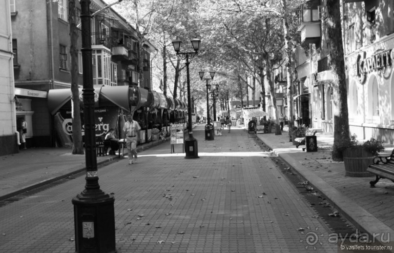 Альбом отзыва "Мой детский Крым и холера"