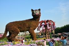 НГ круиз Эмираты-Оман. ч.1