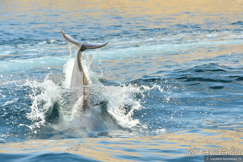 НГ круиз Эмираты-Оман. ч.1