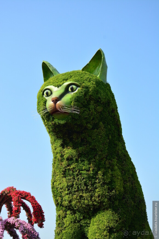 НГ круиз Эмираты-Оман. ч.1