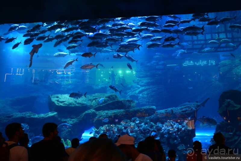 НГ круиз Эмираты-Оман. ч.1