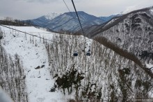 В Сочи на две ночи