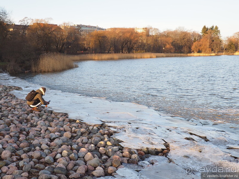 Скандинавия на НГ. Аргументы, Факты, Бюджет