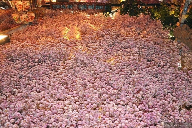 Амстердам — грехи, каналы и бриллианты