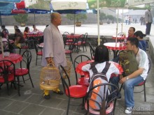 Китайские чудеса: Войско из глины и Шаолинь