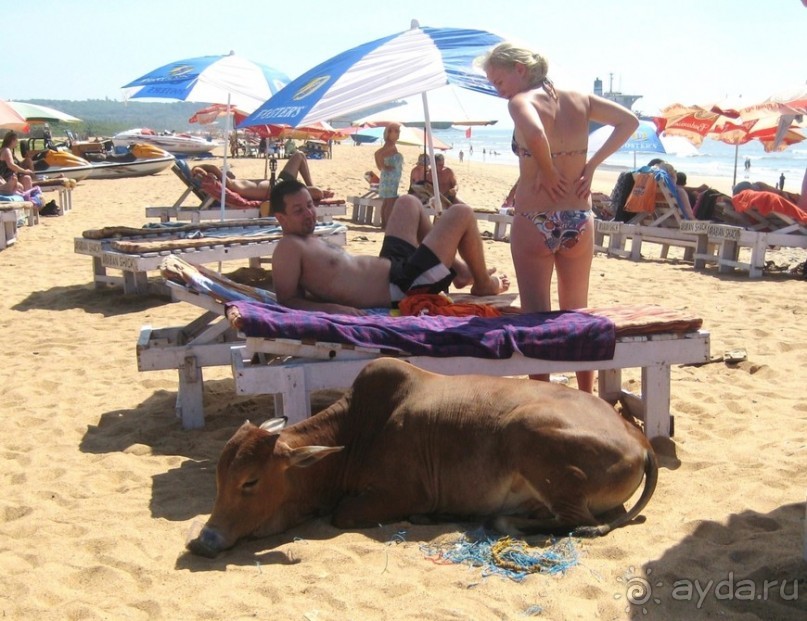 Несерьезные заметки о Гоа