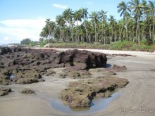 Несерьезные заметки о Гоа