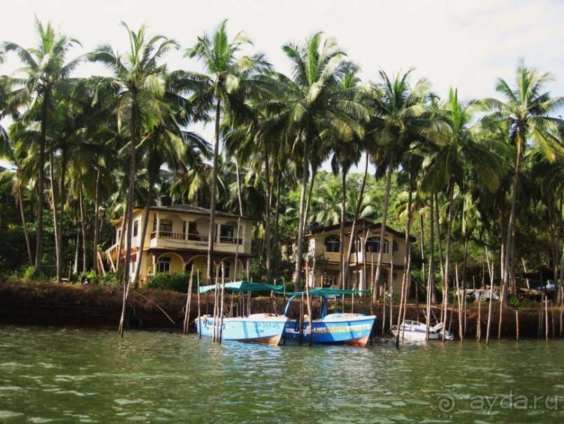 Несерьезные заметки о Гоа