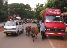 Несерьезные заметки о Гоа