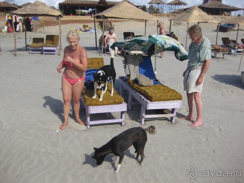 Несерьезные заметки о Гоа